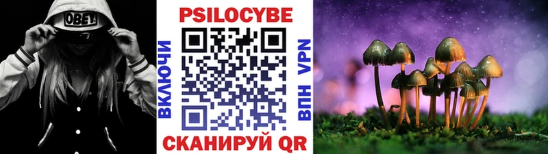 KRAKEN зеркало  Питкяранта  Галлюциногенные грибы прущие грибы 